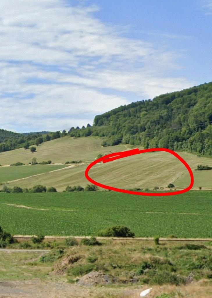 Medvedicas mladými